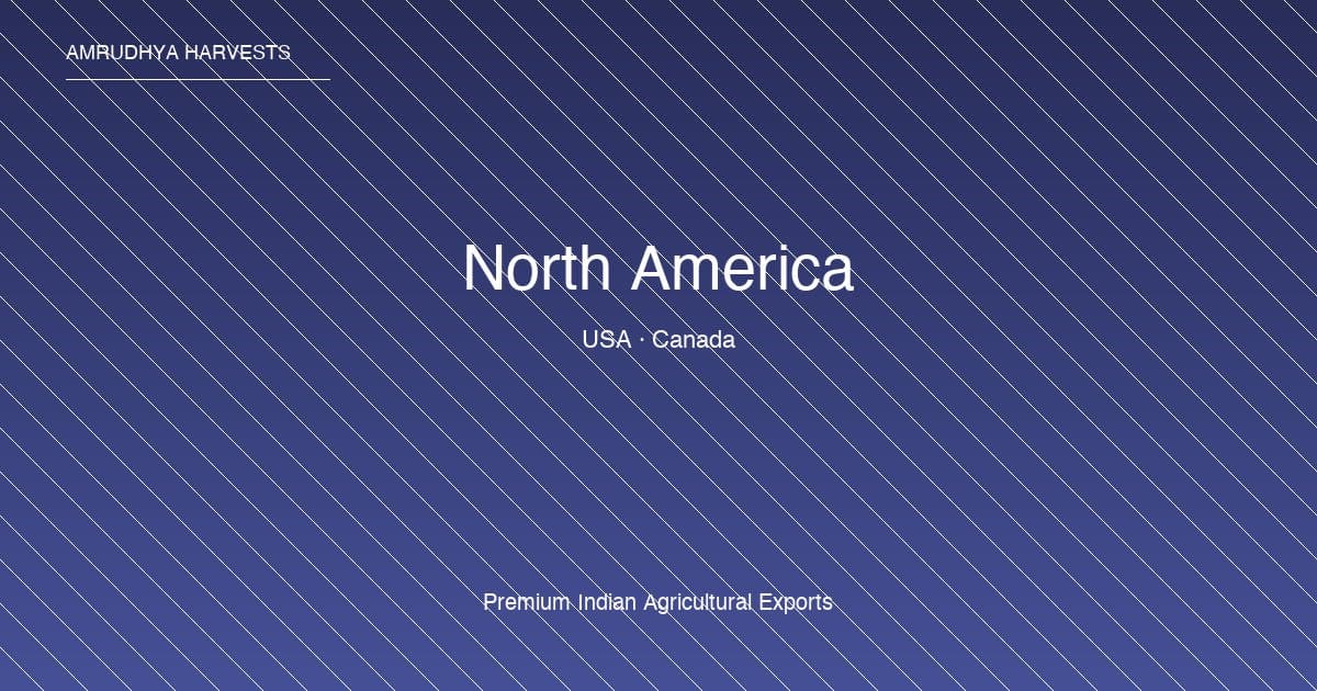 North America export market