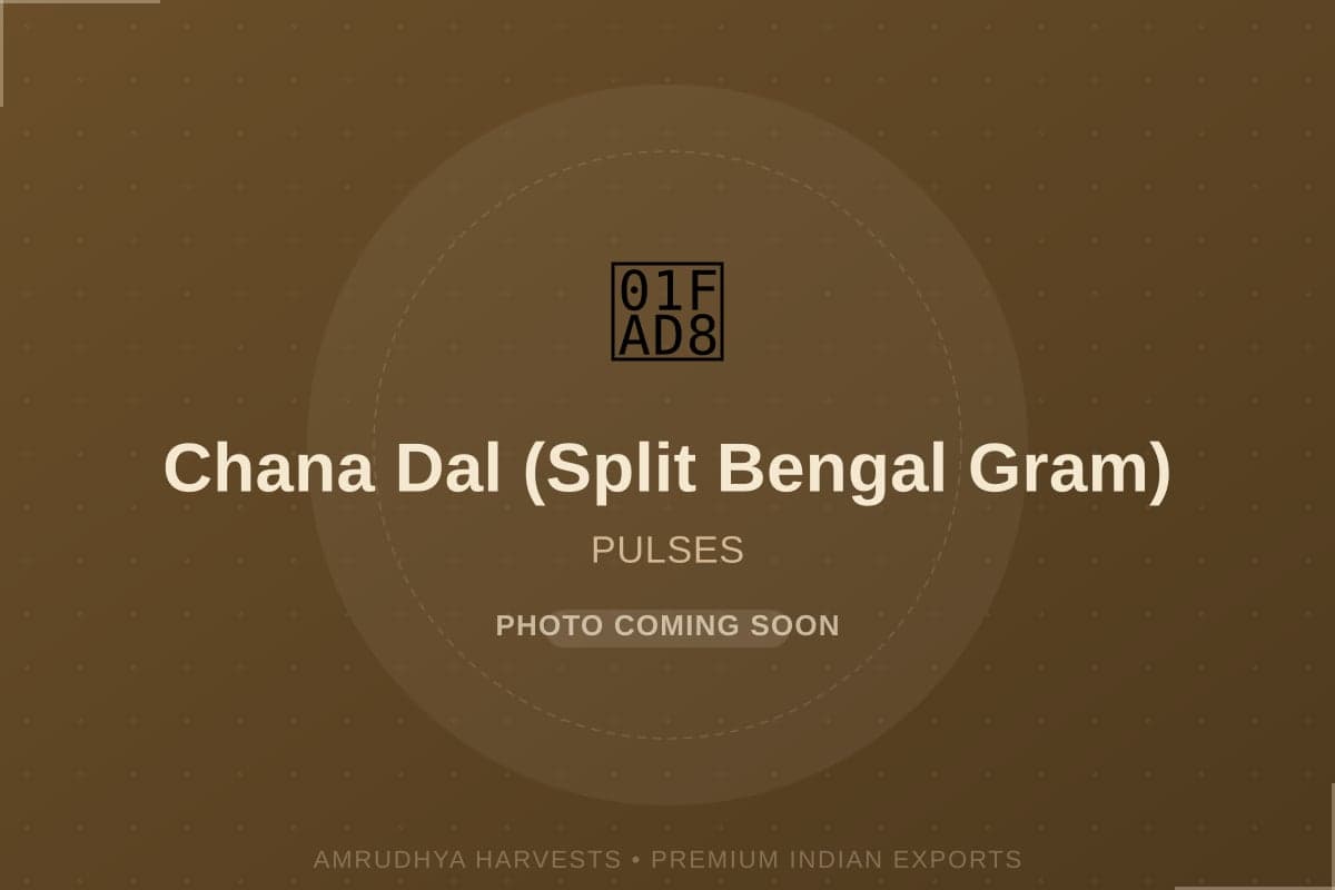 Chana Dal (Split Bengal Gram) - bulk export from India