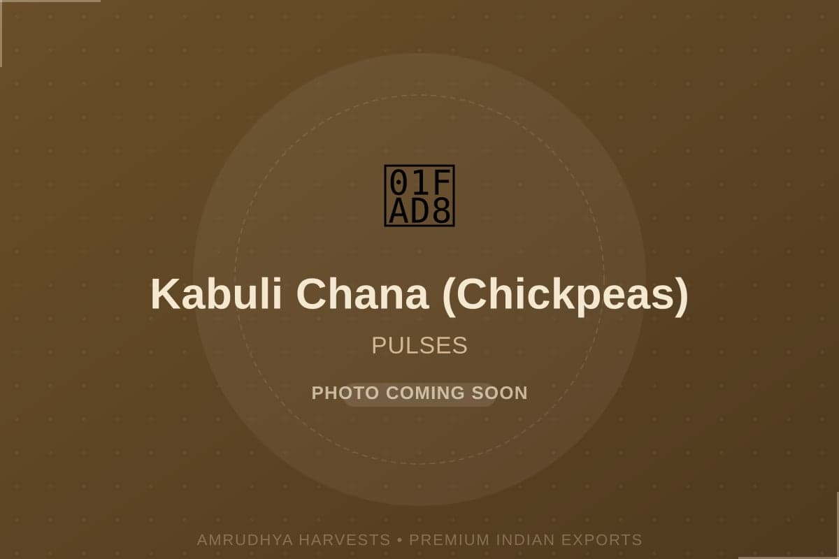 Kabuli Chana (Chickpeas) - bulk export from India
