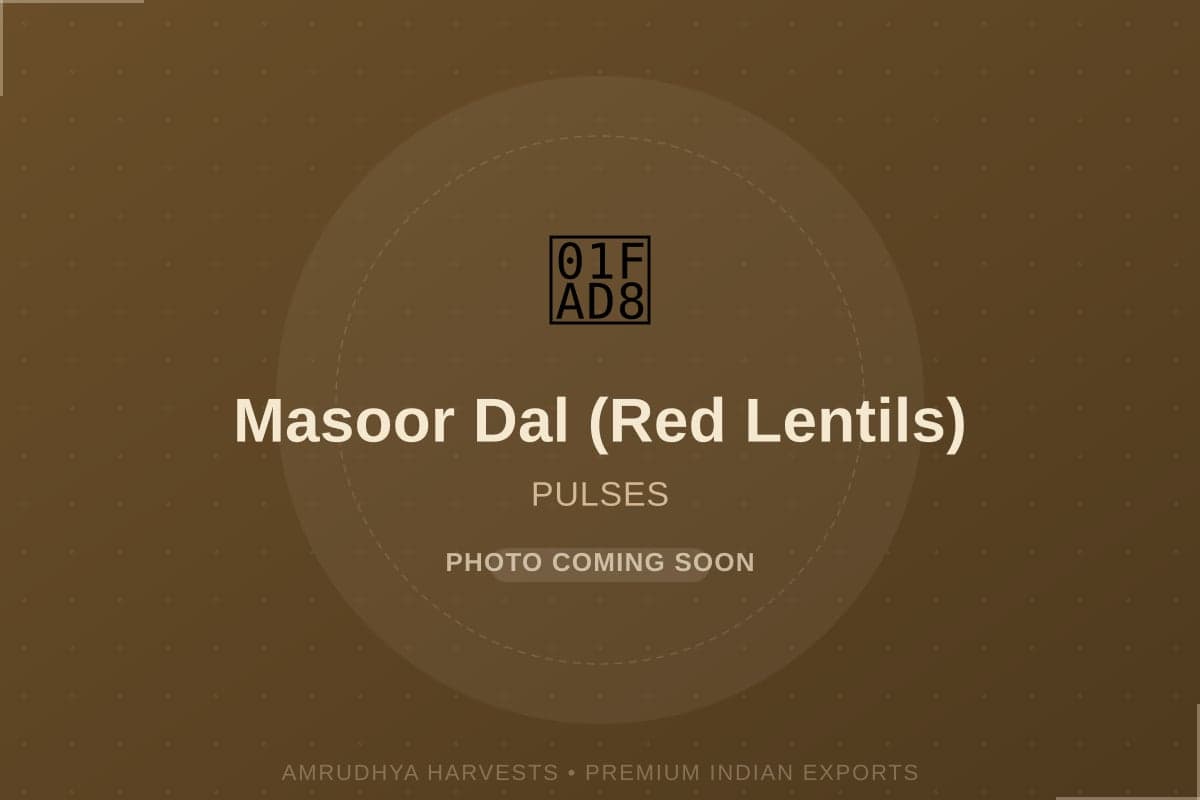 Masoor Dal (Red Lentils) - bulk export from India