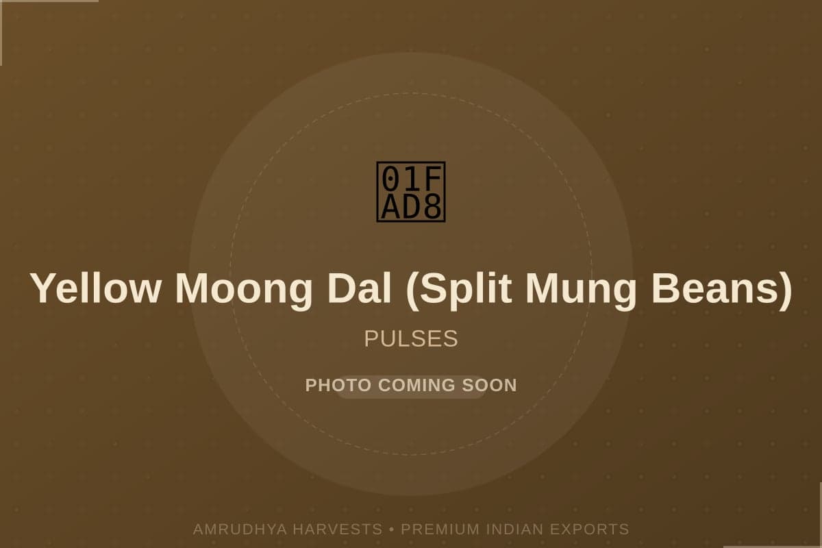 Yellow Moong Dal (Split Mung Beans) - bulk export from India