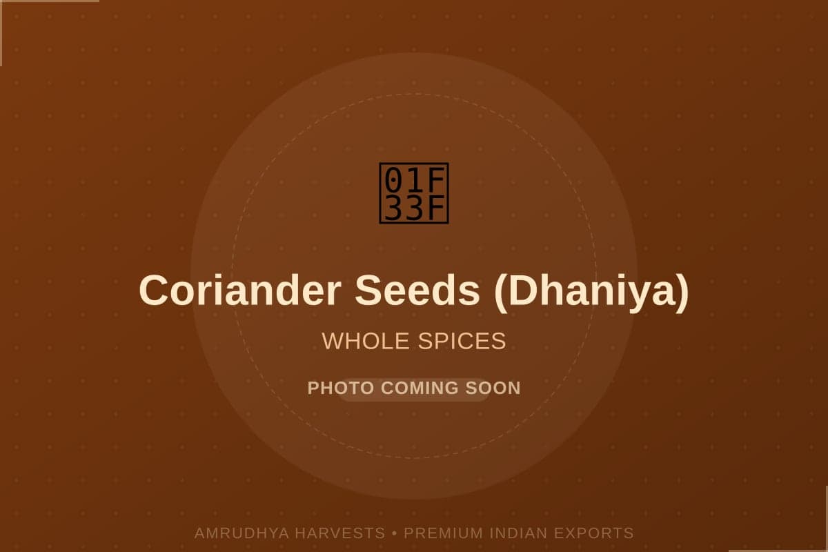 Coriander Seeds (Dhaniya) - bulk export from India