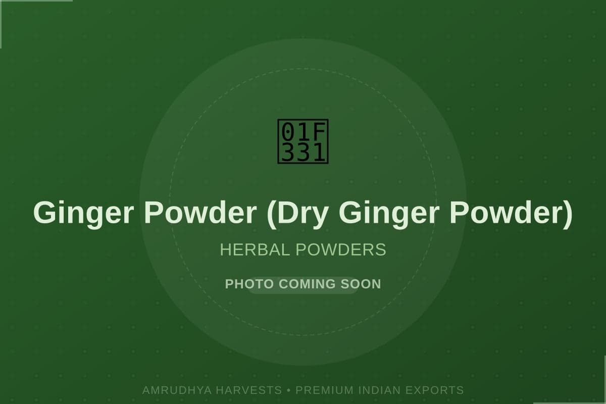 Ginger Powder (Dry Ginger Powder) - bulk export from India